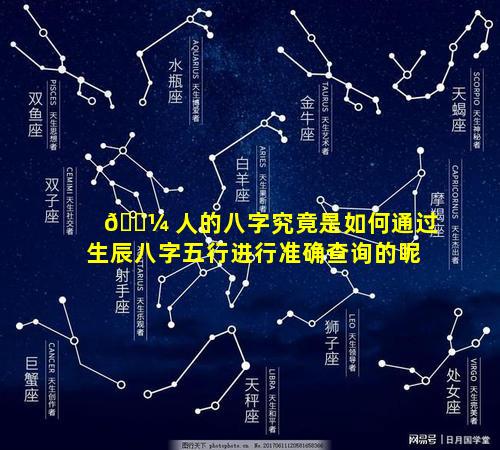 🐼 人的八字究竟是如何通过生辰八字五行进行准确查询的呢